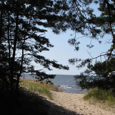 Gospodarstwo wiejskie Puhketalu - *