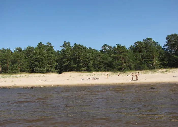 Mandjala Puhketalu - Cottages