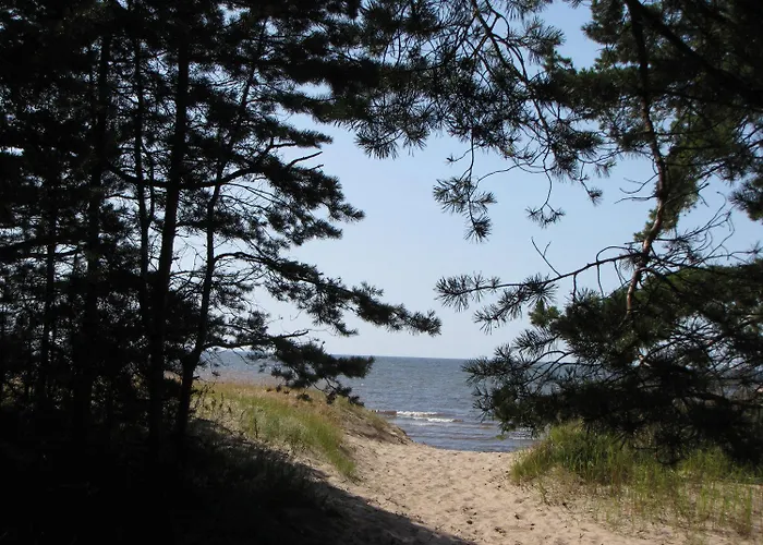 Gospodarstwo wiejskie Puhketalu - *